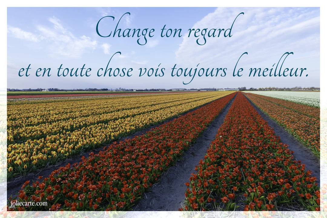 Paysage d'un immense champ de tulipes multicolores en rangées, sous un ciel bleu, avec un texte superposé invitant à l'optimisme.
