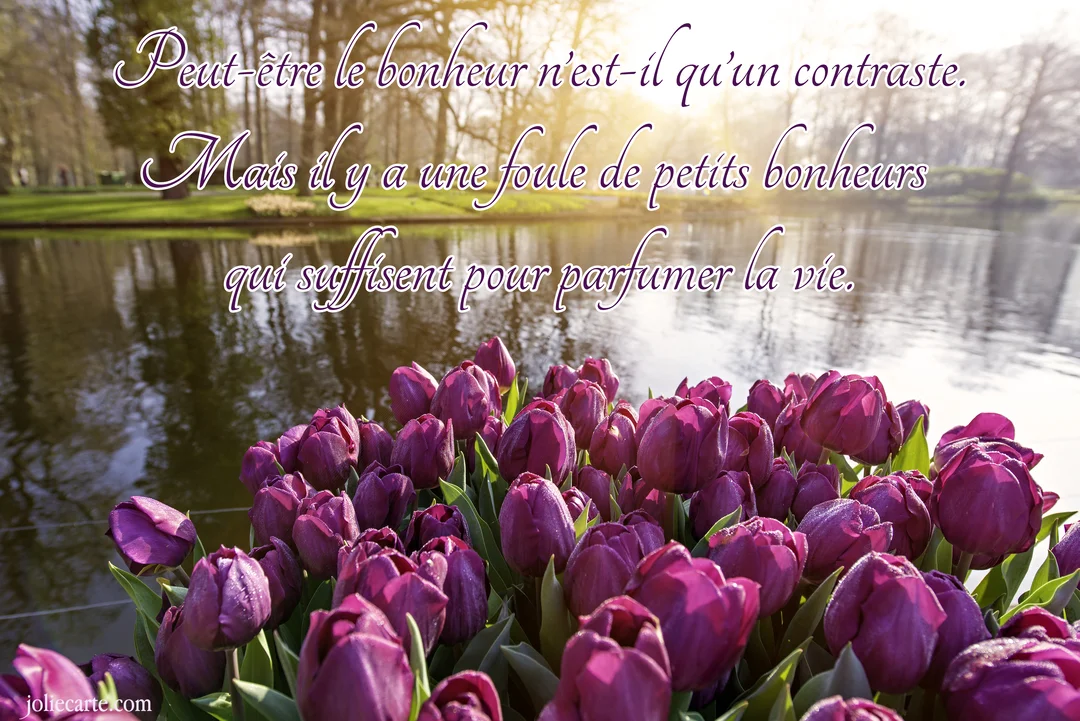 Des tulipes violettes au premier plan, devant un lac calme qui reflète les arbres d'un parc sous un soleil éclatant.