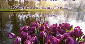 Aperçu de la carte : « ...il y a une foule de petits bonheurs qui suffisent pour parfumer la vie. »