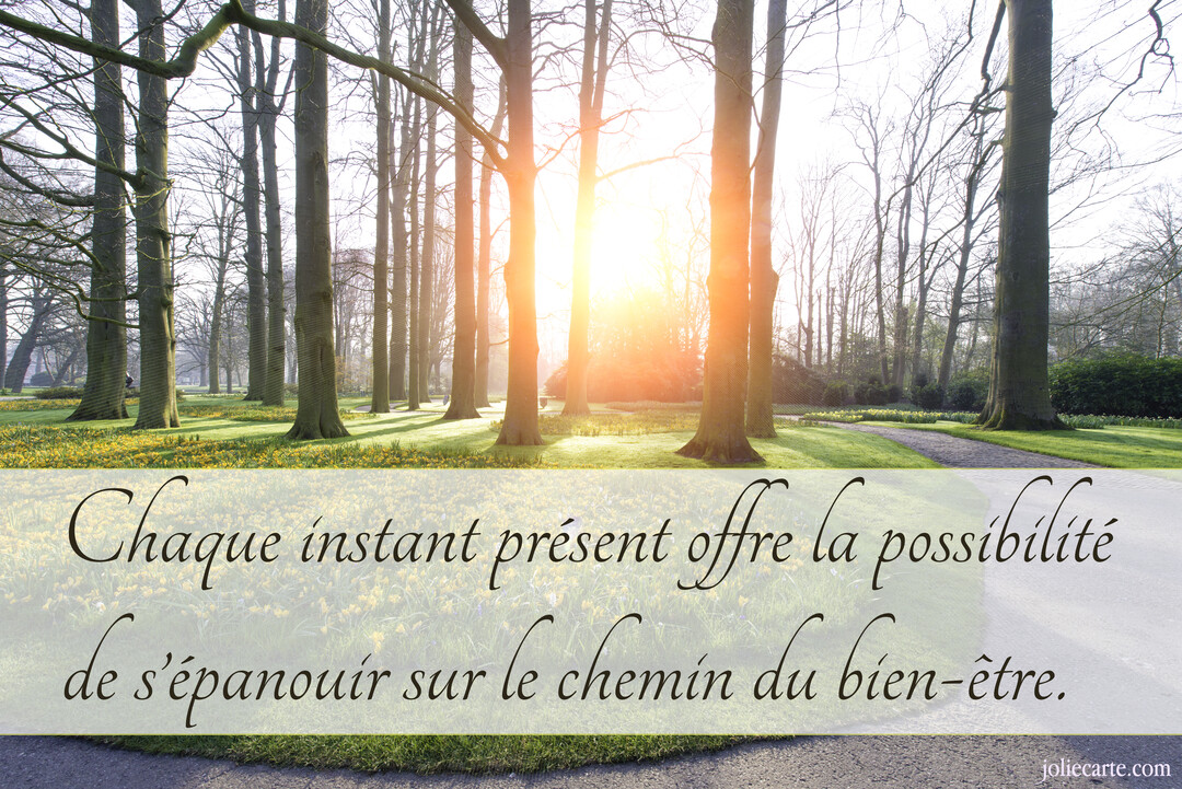 Une photographie d'un sentier dans une forêt au printemps, où le soleil levant brille intensément à travers les troncs d'arbres nus.