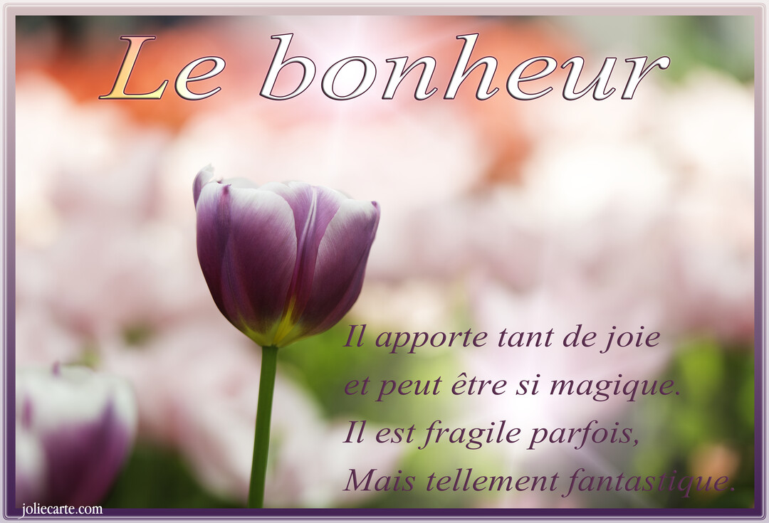 Une carte poétique avec une tulipe violette et blanche au premier plan, sur un parterre de fleurs flou et lumineux, accompagnée d'un texte sur le bonheur.