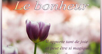 Aperçu de la carte : « Il apporte tant de joie et peut être si magique... »