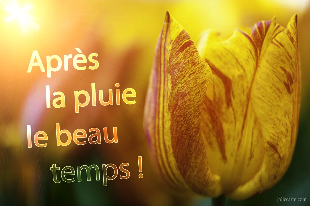 Une tulipe jaune striée de rouge en gros plan, illuminée par un éclat de soleil en haut à gauche, avec une citation sur l'espoir.