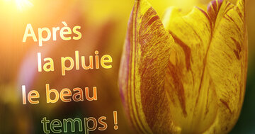 Aperçu de la carte : Après la pluie le beau temps !