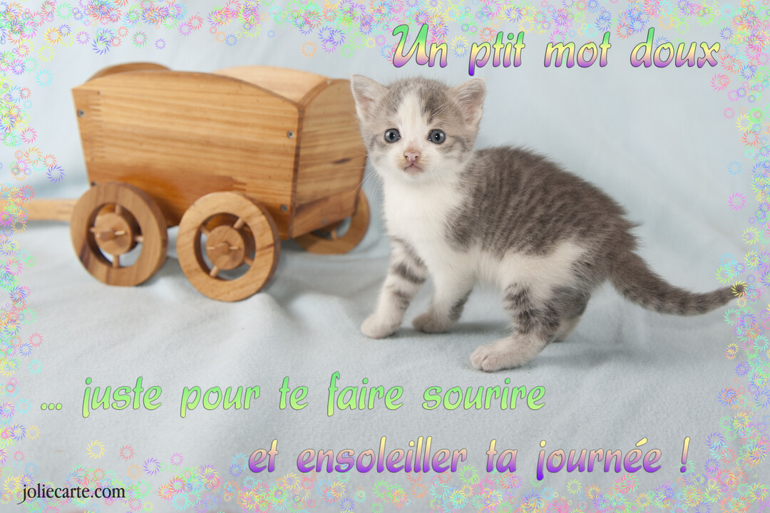 Un jeune chaton gris et blanc est assis sur une couverture bleu clair à côté d'un petit chariot en bois décoratif.