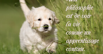 Aperçu de la carte : « Ma philosophie est de voir la vie comme un apprentissage... »