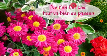 Aperçu de la carte : Ne t'en fait pas tout va bien se passer.