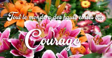 Aperçu de la carte : Tout le monde a des hauts et des bas. Courage !