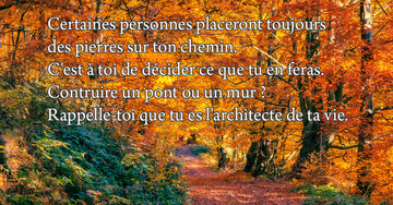 Aperçu de la carte : « Face aux obstacles, à toi de décider si tu construis un pont ou un mur... »