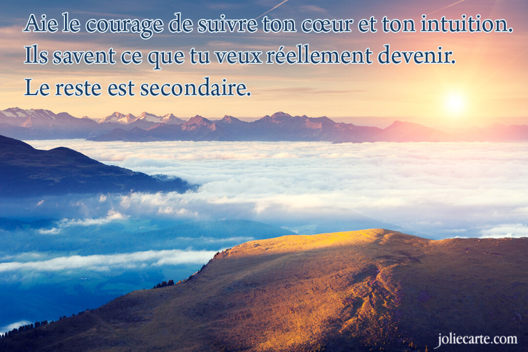 Un paysage de montagne majestueux baigné dans la lumière d'un soleil levant, flottant au-dessus d'une épaisse mer de nuages blancs.