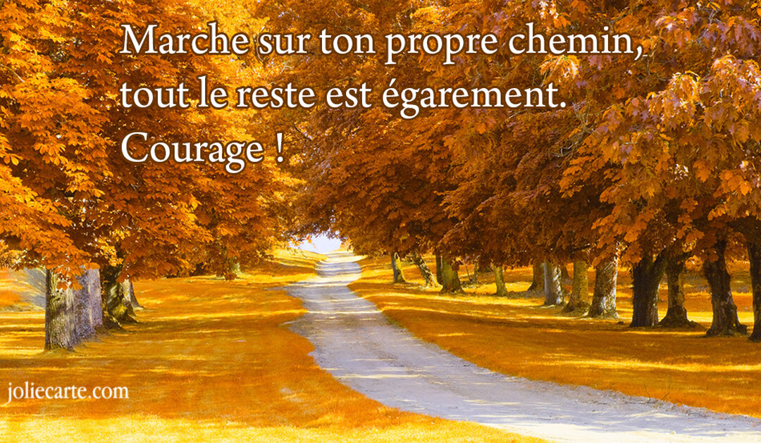 Un sentier de campagne s'enfonce dans une forêt d'arbres aux feuillages flamboyants de couleur orange et jaune, sous la douce lumière d'automne.