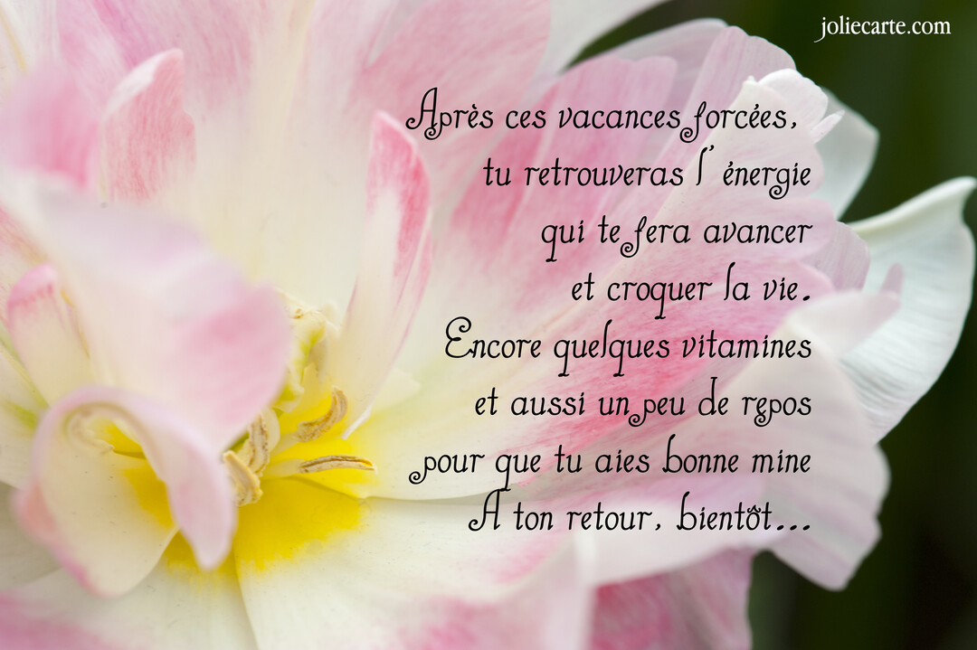 Photographie macro du cœur d'une tulipe aux pétales roses et blancs, sur laquelle est superposé un poème manuscrit de bon rétablissement.