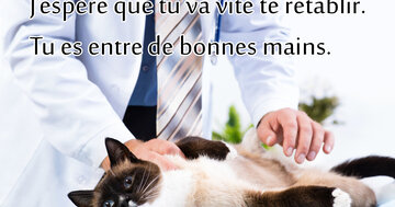 Aperçu de la carte : « J'espère que tu vas vite te rétablir, tu es entre de bonnes mains... »