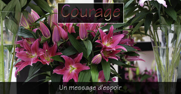 Aperçu de la carte : « L'espoir ne consiste pas à nier les difficultés, mais à savoir qu'elles ne dureront... »