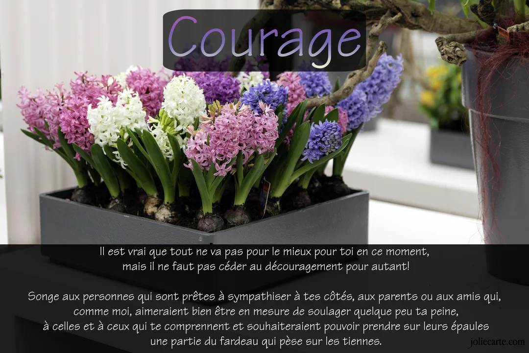 Une photographie de jacinthes multicolores en pleine floraison dans une jardinière grise, avec un message de courage superposé pour apporter du réconfort.