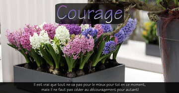 Aperçu de la carte : « Songe aux personnes qui sont prêtes à sympathiser à tes côtés, comme moi... »