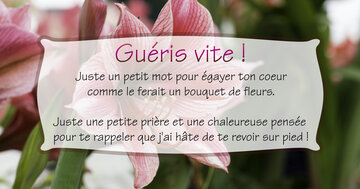 Aperçu de la carte : « Juste un petit mot pour égayer ton coeur et te souhaiter de guérir vite... »