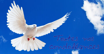 Aperçu de la carte : Toutes nos condoléances