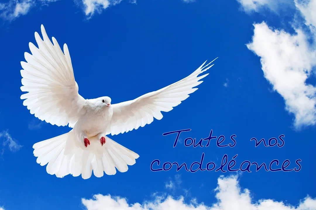 Une colombe blanche vole, ailes étendues, dans un ciel d'un bleu profond avec quelques nuages blancs, au-dessus du texte manuscrit 'Toutes nos condoléances'.
