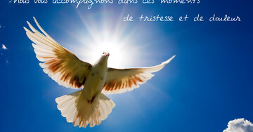 Aperçu de la carte : « Nous vous accompagnons dans ces moments de tristesse et de douleur... »
