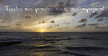 Aperçu de la carte : Toutes nos pensées vous accompagnent