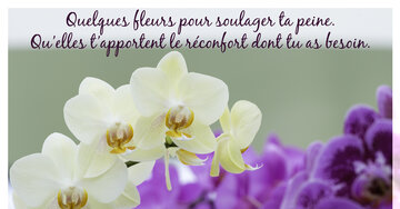 Aperçu de la carte : « Quelques fleurs pour soulager ta peine et t'apporter du réconfort... »