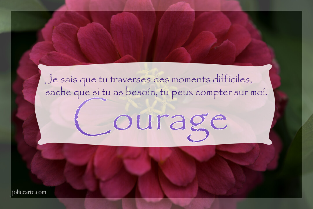 Gros plan sur une fleur de zinnia magenta avec, au centre, un bandeau de texte blanc et violet exprimant soutien et courage.