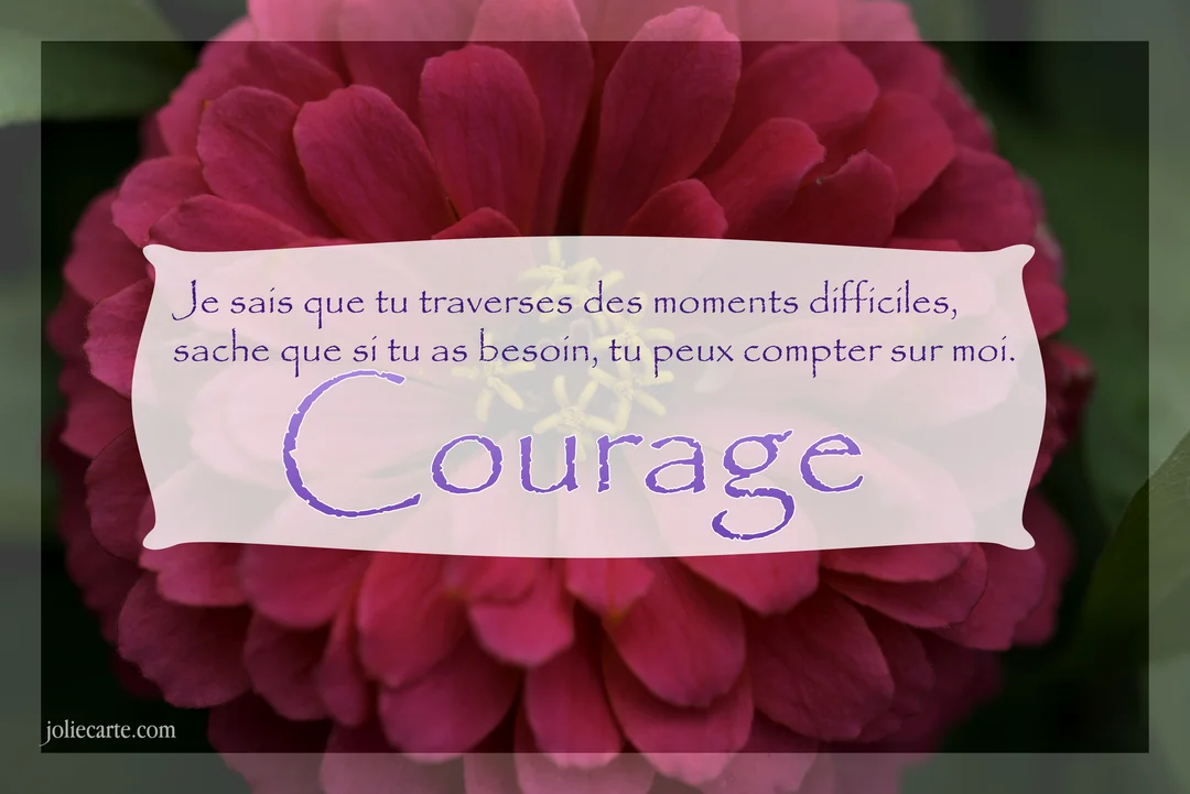 Gros plan sur une fleur de zinnia magenta avec, au centre, un bandeau de texte blanc et violet exprimant soutien et courage.