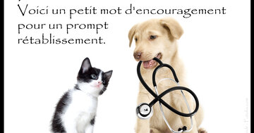 Aperçu de la carte : « Un petit mot d'encouragement pour un prompt rétablissement... »