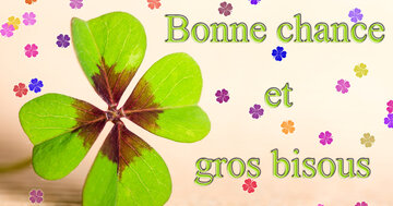 Aperçu de la carte : Bonne chance et gros bisous