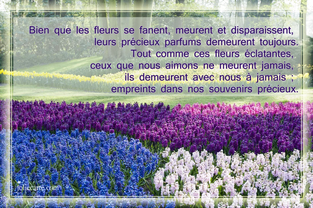 Un champ de fleurs printanières, avec des jacinthes bleues, violettes et blanches au premier plan, et un texte de condoléances superposé.