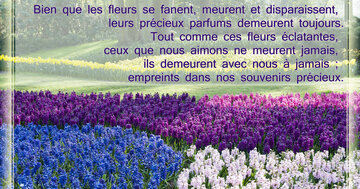 Aperçu de la carte : « Ceux que nous aimons ne meurent jamais, ils demeurent avec nous à jamais... »