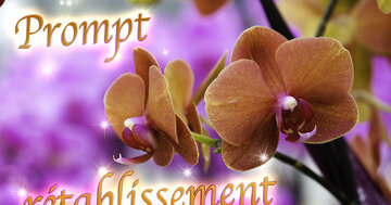 Aperçu de la carte : Prompt rétablissement