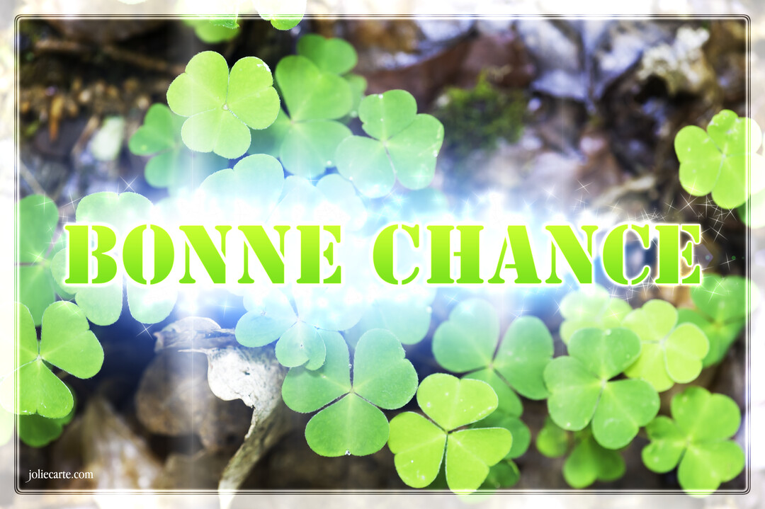 Une photographie de trèfles à trois feuilles en sous-bois, avec le texte 'Bonne Chance' superposé dans un halo lumineux et scintillant.