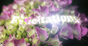 Aperçu de la carte : Félicitations