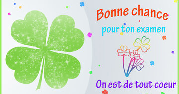 Aperçu de la carte : « Bonne chance pour ton examen, on est de tout cœur avec toi... »