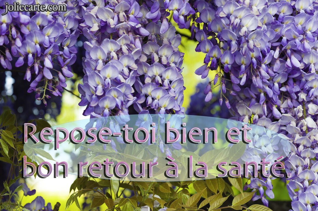 Une photographie en gros plan de grappes de fleurs de glycine violettes luxuriantes, avec un message de bon rétablissement superposé au centre.