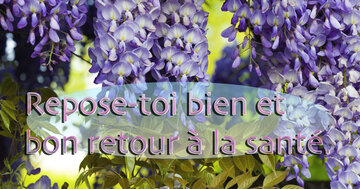 Aperçu de la carte : Repose toi bien et bon retour à la santé.