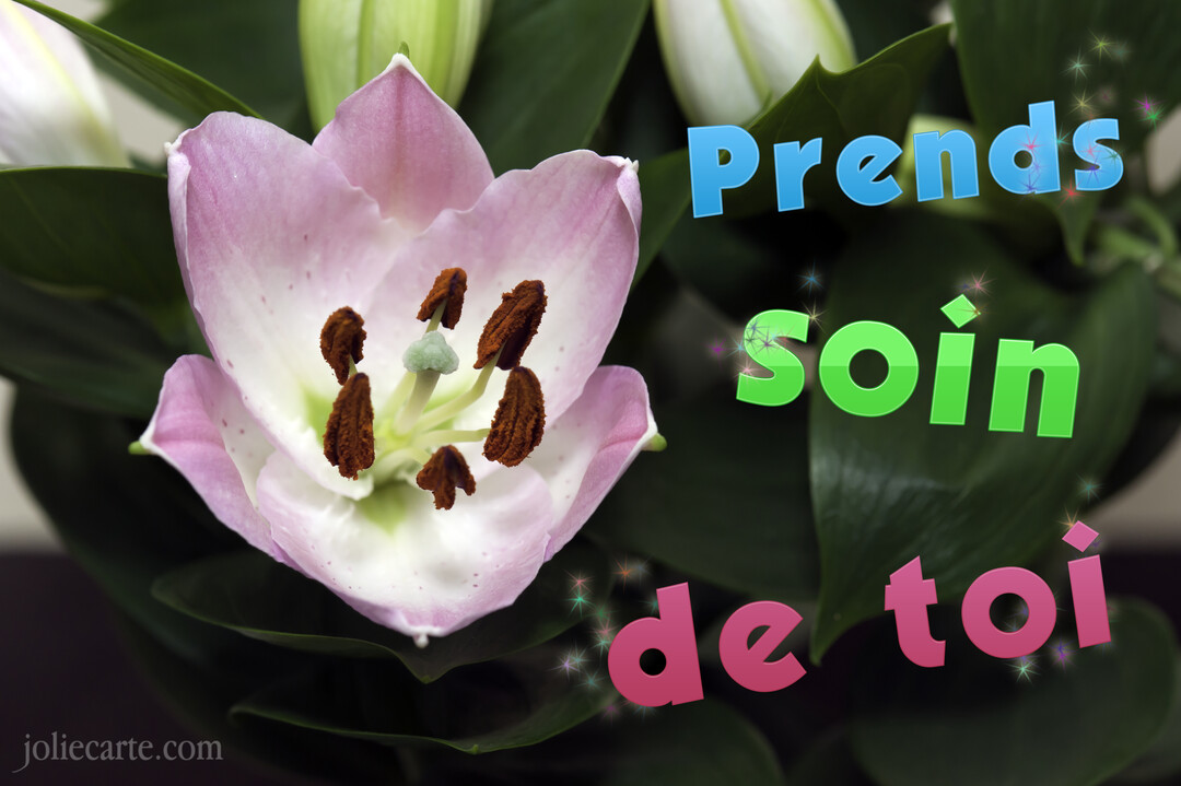 Une photo en gros plan d'une fleur de lys rose et blanche avec l'inscription 'Prends soin de toi' superposée en lettres colorées.