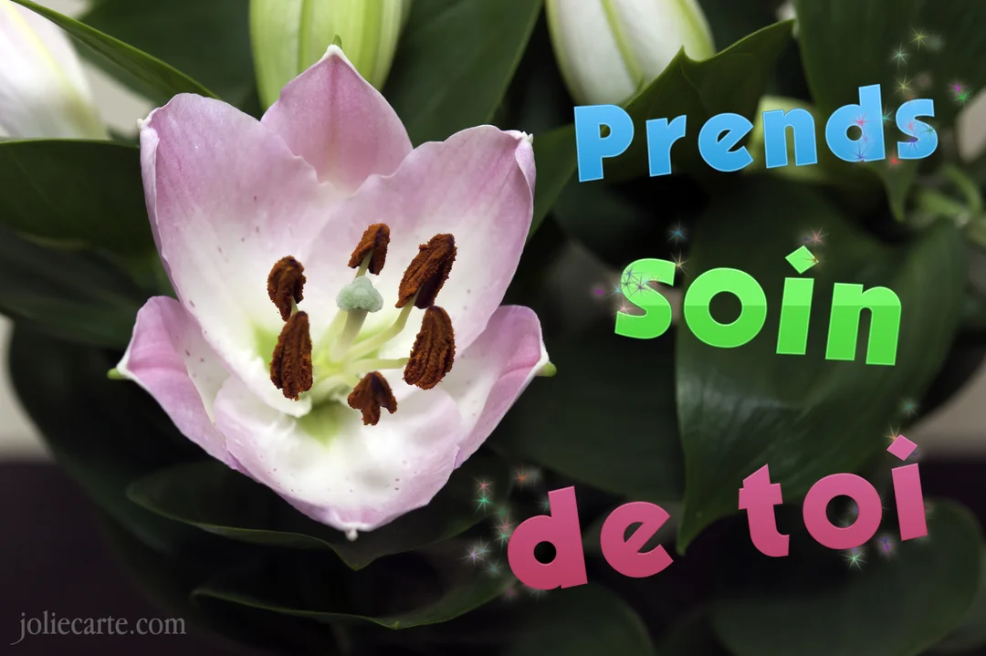 Une photo en gros plan d'une fleur de lys rose et blanche avec l'inscription 'Prends soin de toi' superposée en lettres colorées.