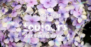 Aperçu de la carte : Tu resteras toujours dans mon coeur.