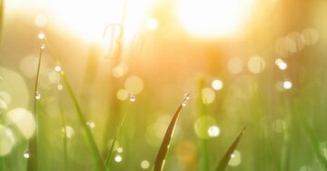 Aperçu de la carte : « Voici quelques chants d'oiseaux pour faire chanter ton coeur... »