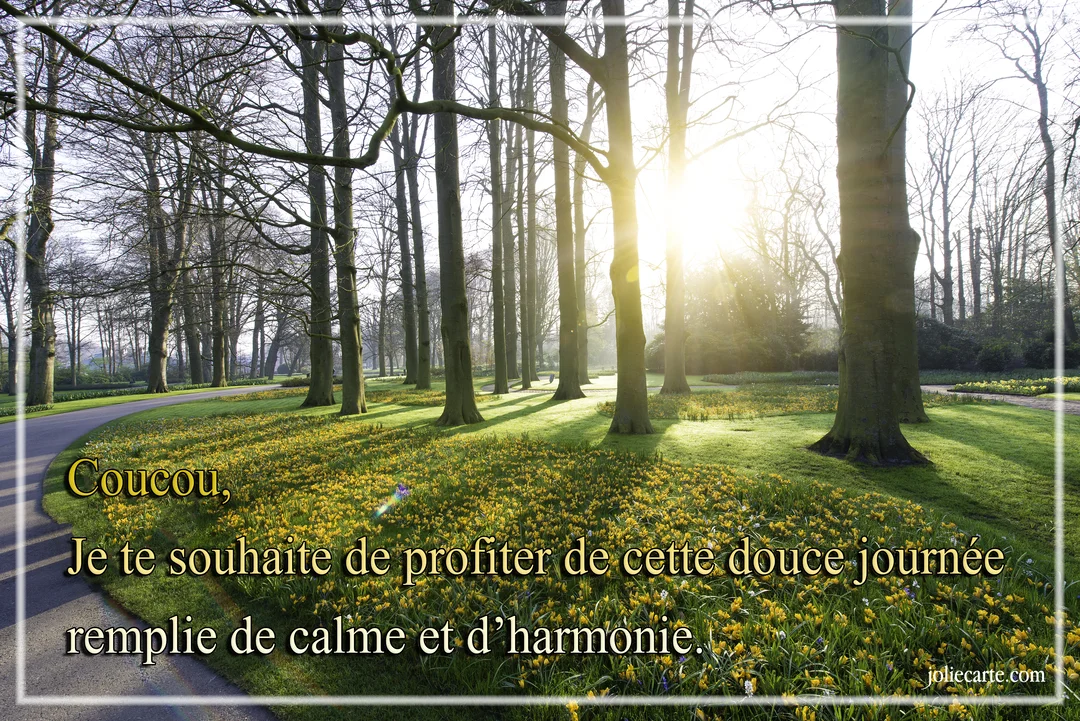 Une allée dans un parc boisé est baignée de la lumière du soleil, avec un sol couvert de fleurs jaunes printanières.