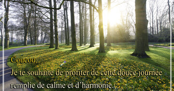 Aperçu de la carte : « Je te souhaite de profiter de cette douce journée remplie de calme... »