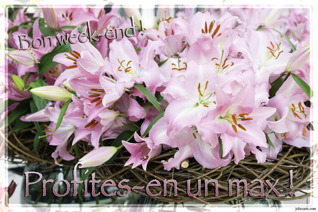 Une photographie en gros plan d'un abondant bouquet de lys roses épanouis, reposant dans une composition de branchages tressés marron.