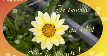 Aperçu de la carte : Bonjour, je t'envoie du soleil pour la journée !