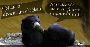 Aperçu de la carte : « J'ai décidé de rien foutre aujourd'hui ! C'est vendredi... »