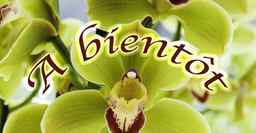 Aperçu de la carte : A bientôt