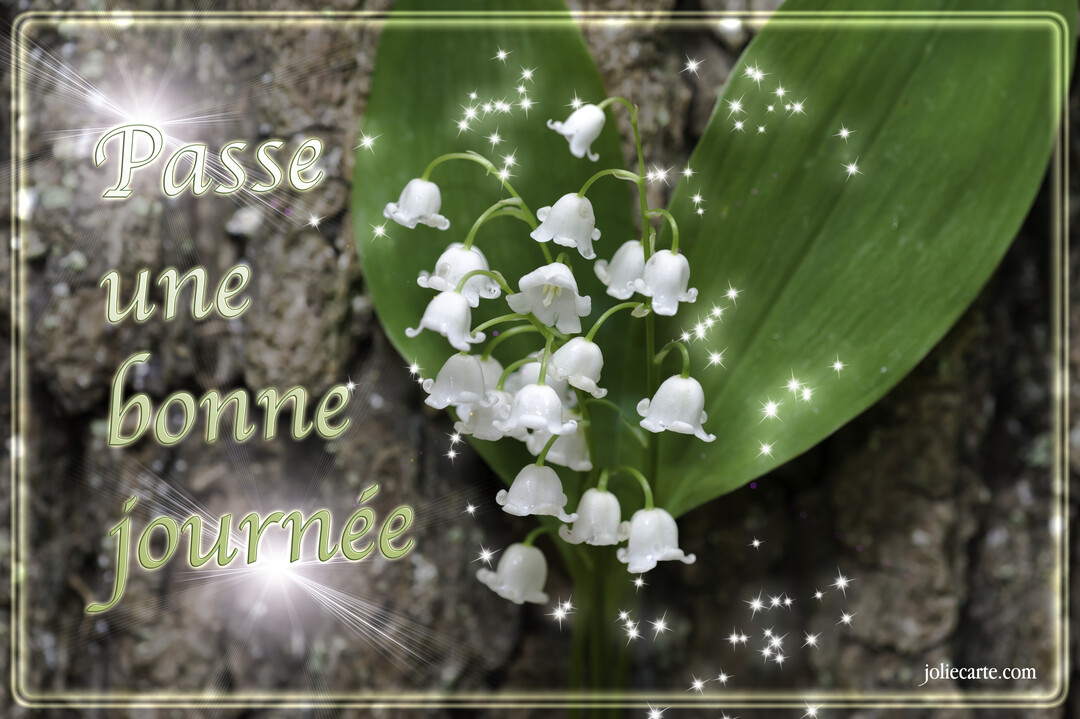 Un brin de muguet avec ses clochettes blanches et ses feuilles vertes repose sur une écorce d'arbre, avec un message scintillant.