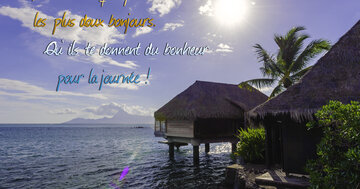 Aperçu de la carte : « Reçois de celle qui pense à toi les plus doux bonjours... »